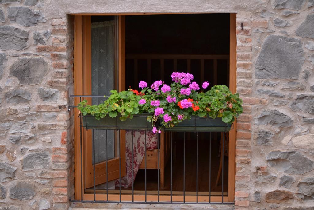 Cà di Minù Villa Tarzo Phòng bức ảnh