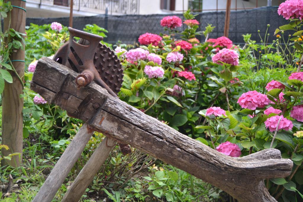 Cà di Minù Villa Tarzo Phòng bức ảnh